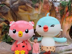 -杭州开元森泊度假乐园