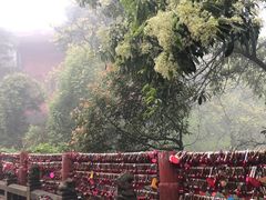 -青城山