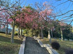 -风云岭森林公园