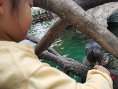 -华夏文旅海洋公园