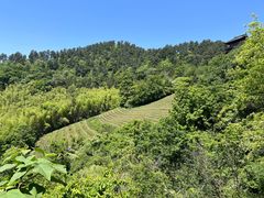 -敬亭山风景名胜区