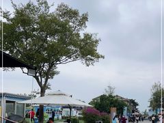 -空港花田景区