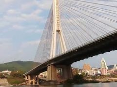 -西双版纳原始森林公园