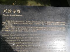 -兴教寺