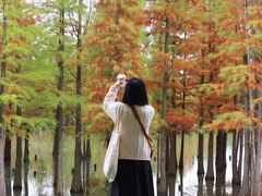 -白鹭湾湿地公园