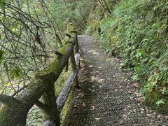 -神农架香溪源景区