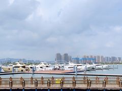-五缘湾游艇帆船俱乐部