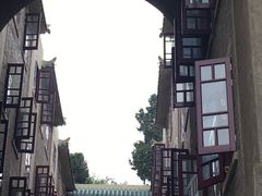 -武汉大学-樱园