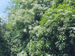 -渤公岛生态公园