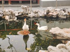 -龙华寺