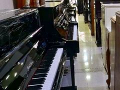 -天籁琴行(淘金店)