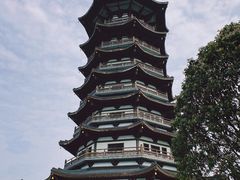 -洋湖国家湿地公园