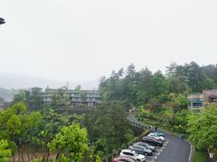 -千岛湖伯瑞特度假酒店-米兰西餐厅