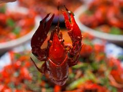 -金陵一哥龙虾(水木秦淮店)