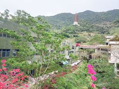 -深圳仙湖植物园
