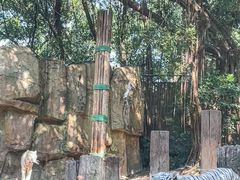 -广州长隆野生动物世界