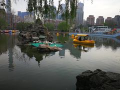 -团结湖公园