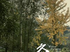 -重庆彩云湖湿地公园