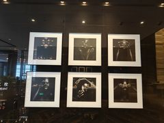 -长沙尼依格罗酒店