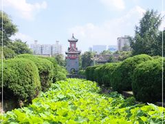 -四川大学(华西校区)