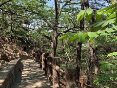 -山叶口景区