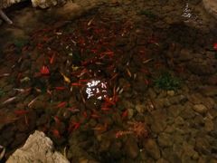 android_upload_pic-森谷美食公园(杨行店)