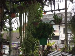 -自然餐厅(Phuket)