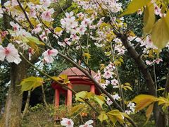 -南山植物园