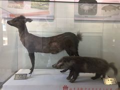 -内乡县衙博物馆