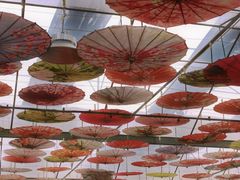 -广东花都香草世界旅游度假区