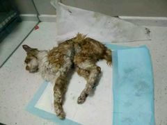 android_upload_pic-盛京一禾