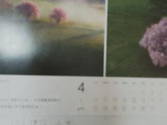 -金宝贝早教(富力广场中心)