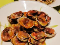 醉毛蚶-高佳庄·舟山海鲜(海景旗舰店)