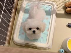 -豫璟轩中餐厅(南昌万怡店)