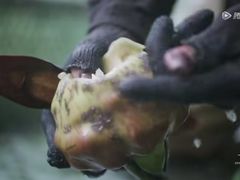 -随柳居·苏式小吃(建新巷店)