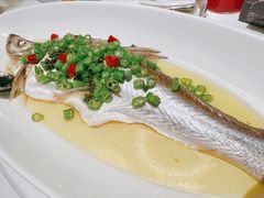 青花椒蒸白水鱼-荣兴酒家(徐家汇店)