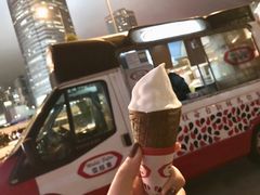 -富豪雪糕车流动点(尖沙咀店)