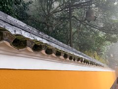 -普陀山慧济禅寺