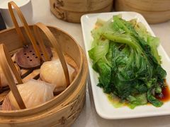 -金鼎轩(方庄天坛店)