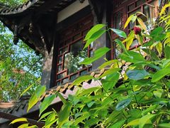 -大妙火锅·非物质文化遗产(东湖公园店)