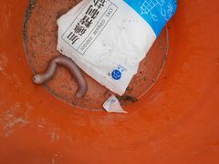 -红树林天天赶海