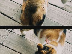 -BUND·FIVE外滩5号(天际店)