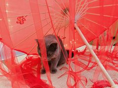 -第三空间·趣味桌游·轰趴.室内CS.剧本杀(大武汉1911店)