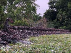 -嘉和K6温泉微度假