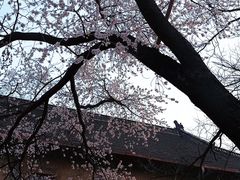 -山东大学(趵突泉校区)