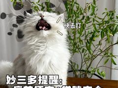 -瑞派·关忠动物医院(国瑞店)