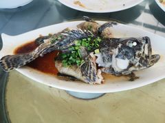 -七鲜渔港美食餐厅(巽寮湾海景店)