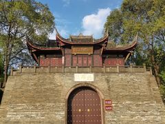 -桂湖森林公园