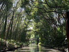 -同里国家湿地公园