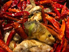 -丹江渔村(望京店)